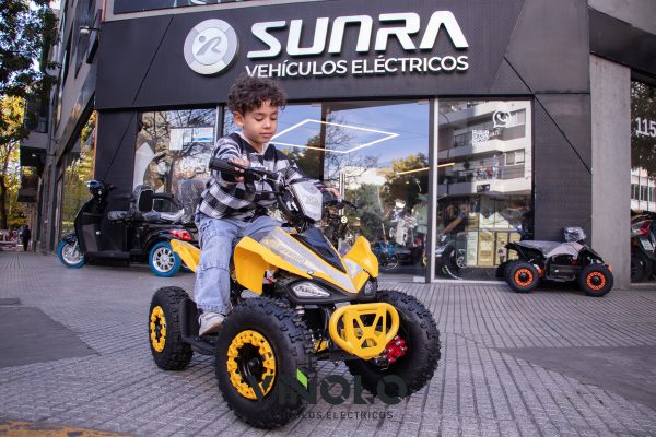 Triciclo Electrico Shino Para Adultos Envio Sin Cargo / M - Imagen 6