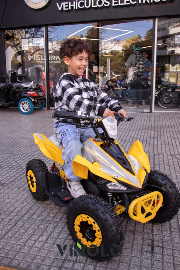 Triciclo Electrico Shino Para Adultos Envio Sin Cargo / M - Imagen 7