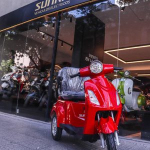 Triciclo Electrico Shino Para Adultos Envio Sin Cargo / M