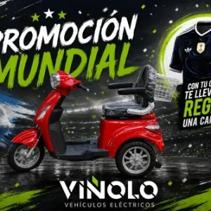 Triciclo Electrico Sunra Shino Para Adultos + Envio / G