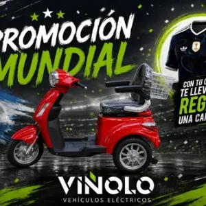 Triciclo Electrico Sunra Shino / Jubilados / + Envio / M
