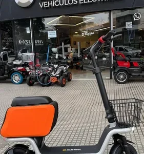 Monopatín Con Asiento Sunra S20 + Casco Y Envíos / M